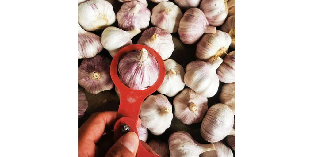 कितने मशरूम बिके हैं