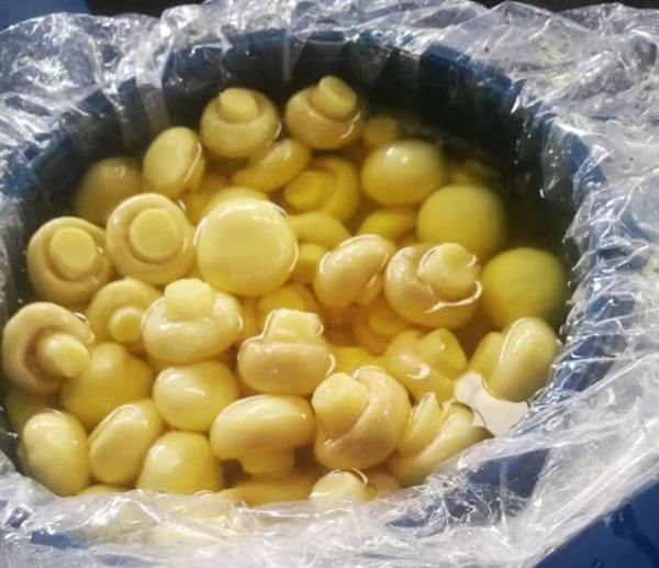 बैरल में SO2 में चीनी चैंपिग्नन